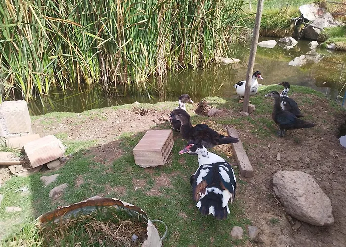 Qhosqa Wasi Munoz Lodge